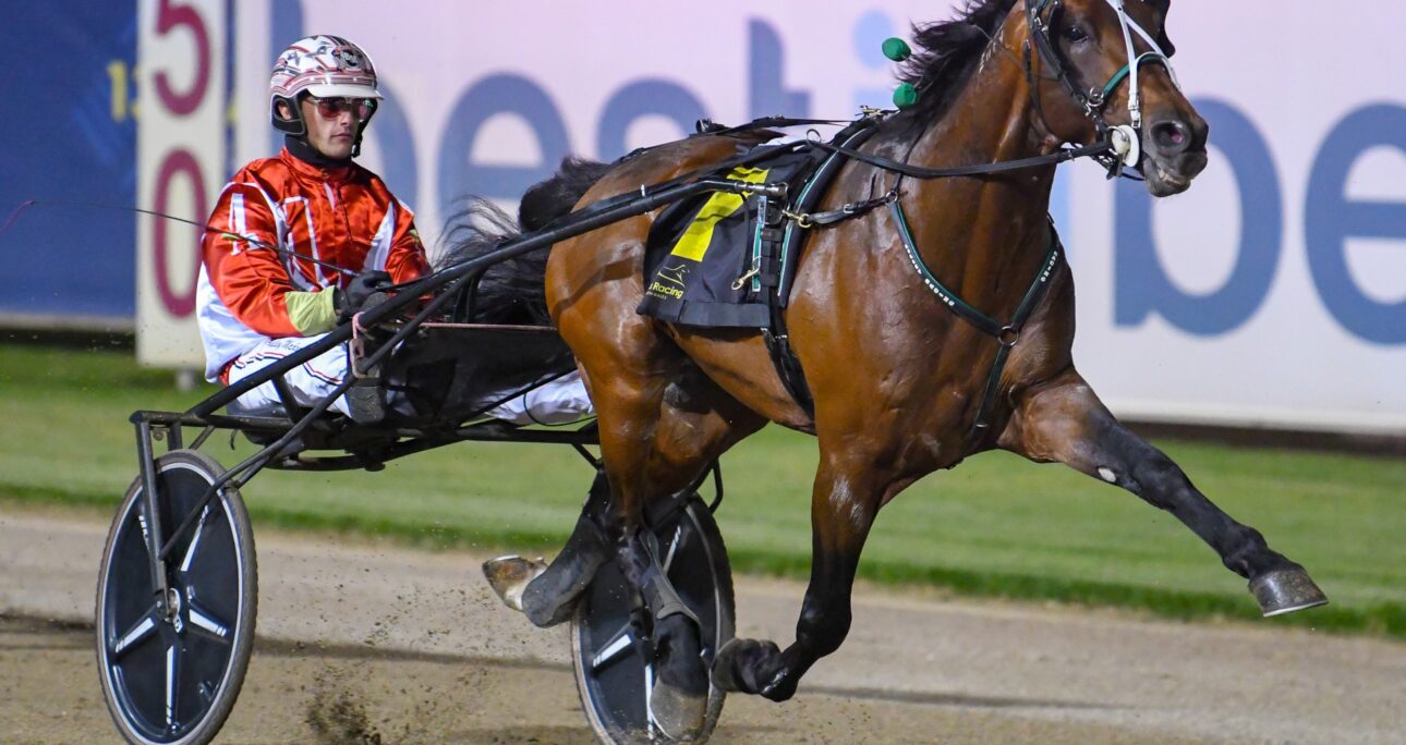 Golden Ticket winners shine at Menangle